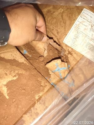 Accidental Damaged Stock of Cocoa Powder